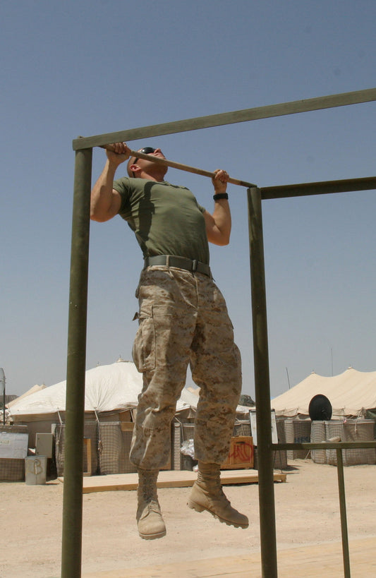 The Bodyweight Files | Introduction To Bodyweight Training (2015)