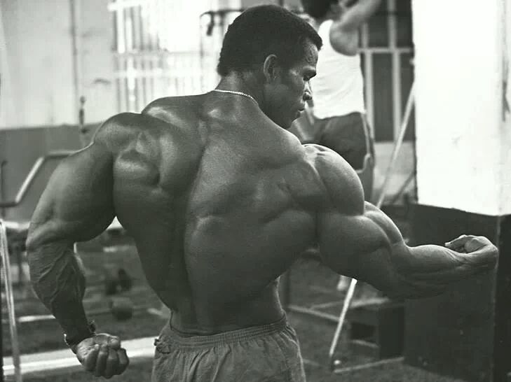 Why Your Back Isn’t Getting Thicker & Wider (15 Reasons) (2015)