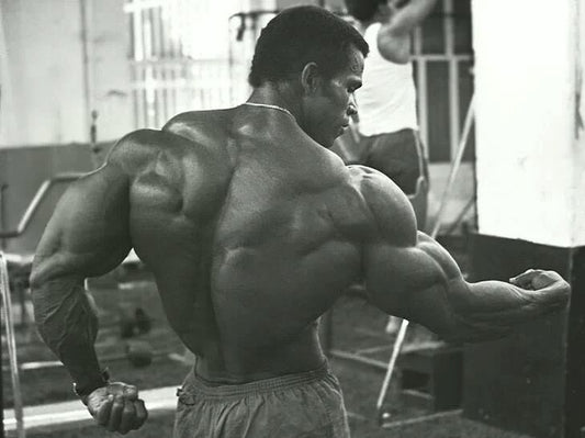 Why Your Back Isn’t Getting Thicker & Wider (15 Reasons) (2015)