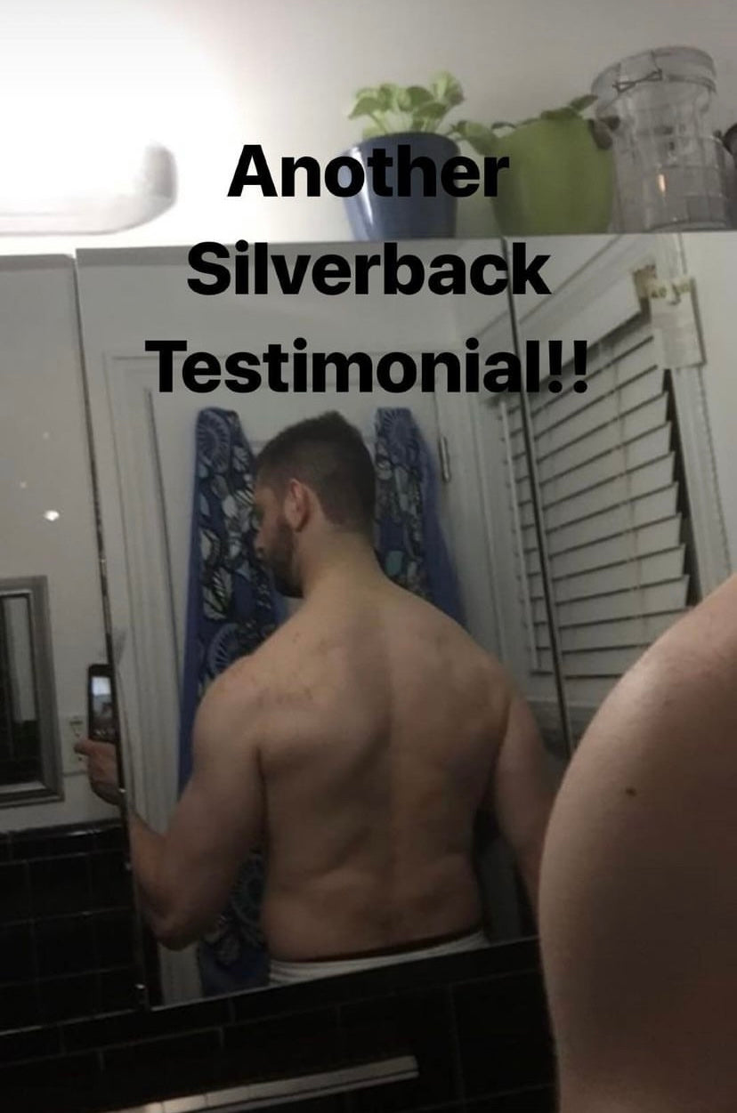 Silverback