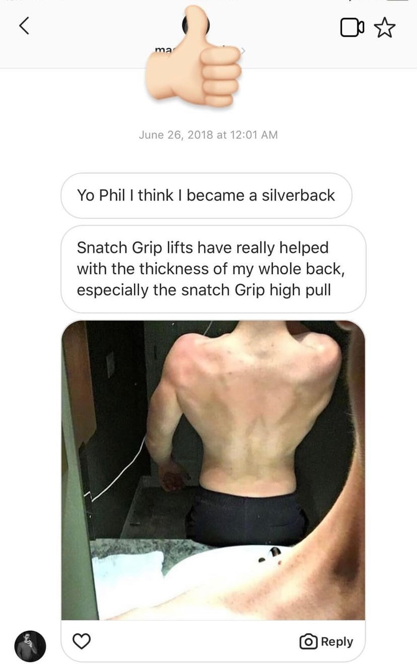 Silverback