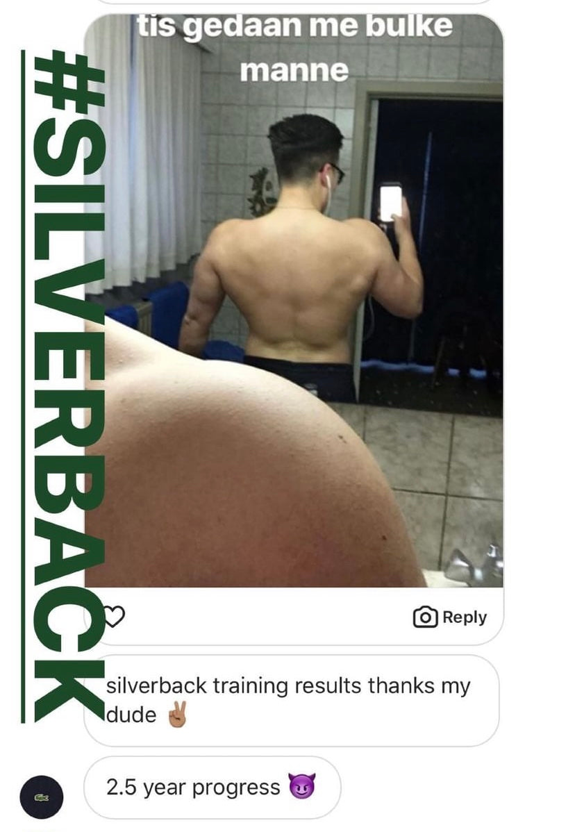 Silverback