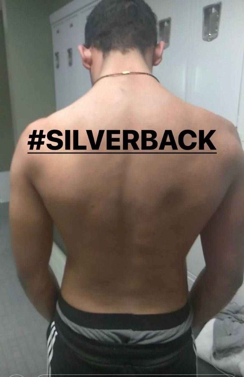 Silverback