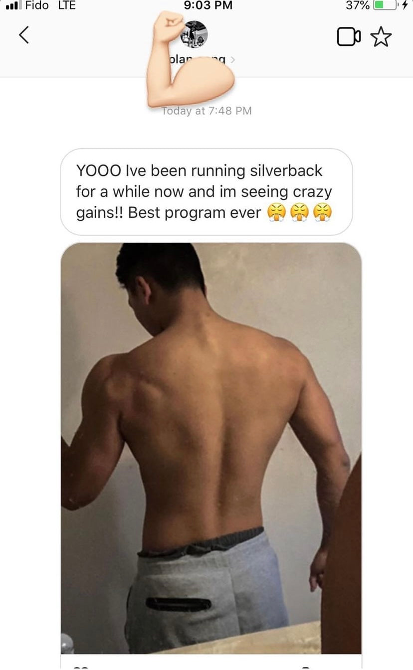 Silverback