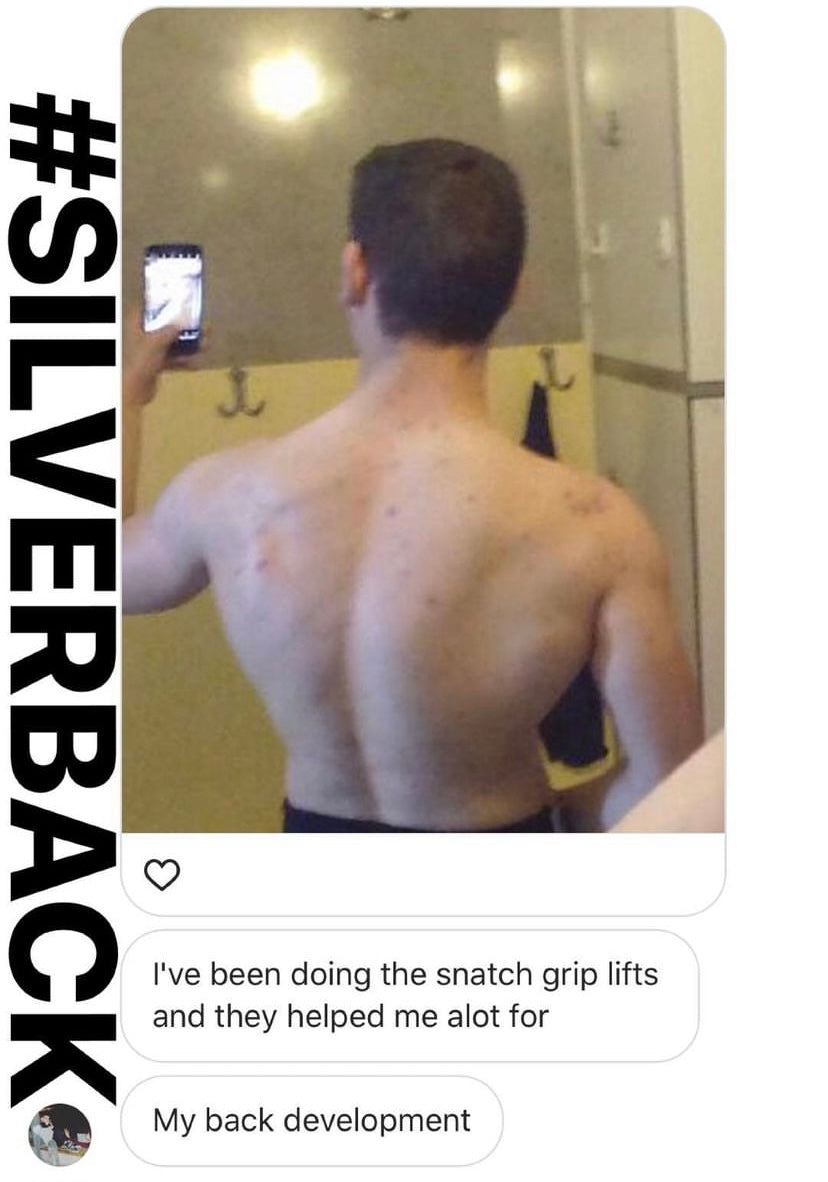 Silverback