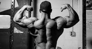 Ultimate Guide to Reach Your Rear Delt Genetic Potential (2016)
