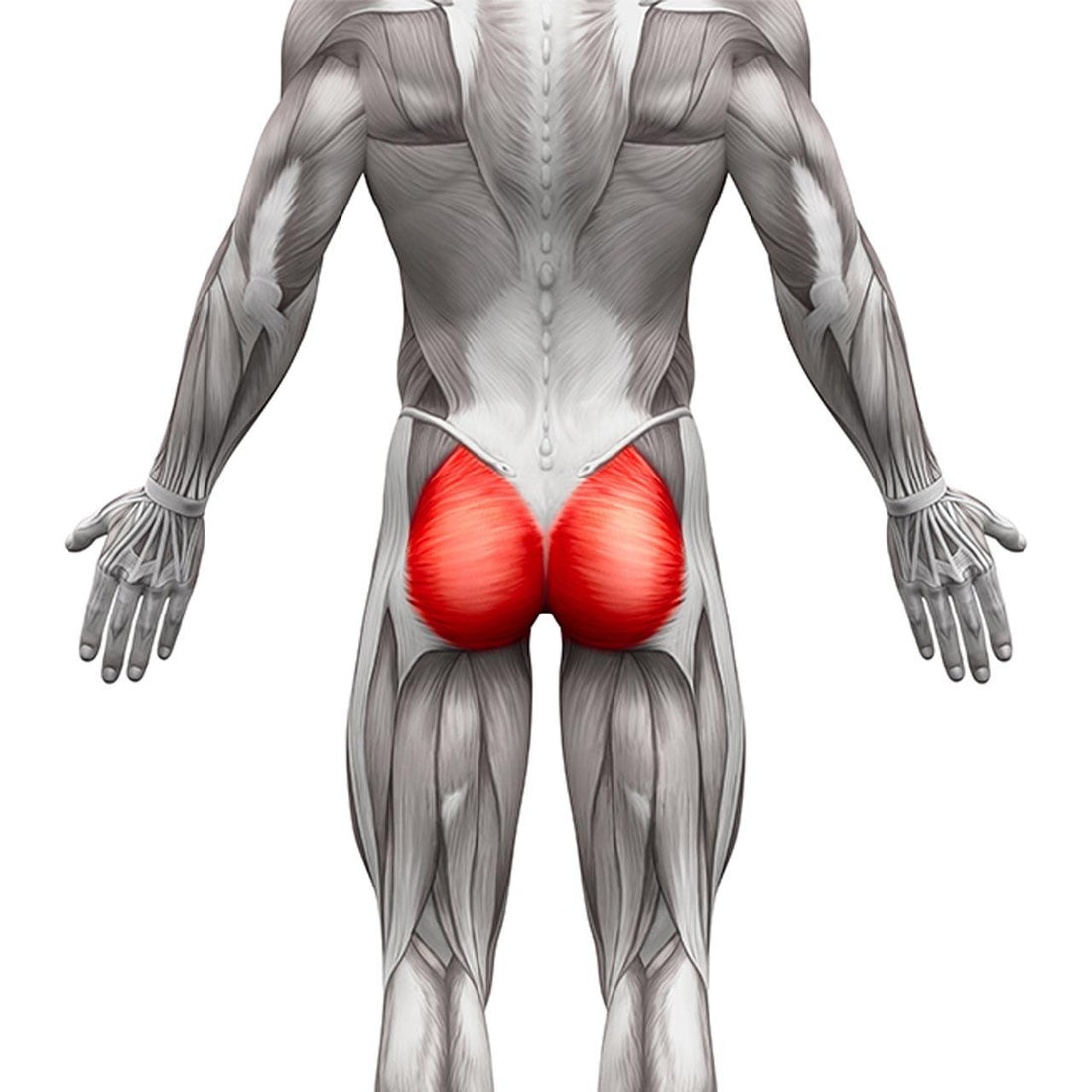 Want Gigantic Glutes? Avoid Making These 6 Mistakes (2016)